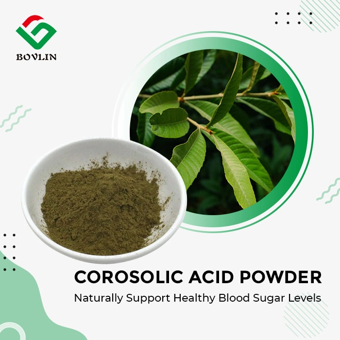 Corosolic Acid Powder